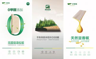 千年舟20歲獻(xiàn)禮 凈醛產(chǎn)品引領(lǐng)0醛時(shí)代，知識(shí)產(chǎn)權(quán)鑄就綠意未來